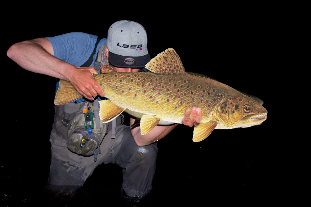 giant brown trout